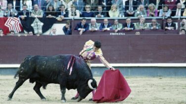 José Tomás sufre una cogida en su vuelta a los ruedos en Alicante