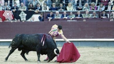 José Tomás sufre una cogida en su vuelta a los ruedos en Alicante