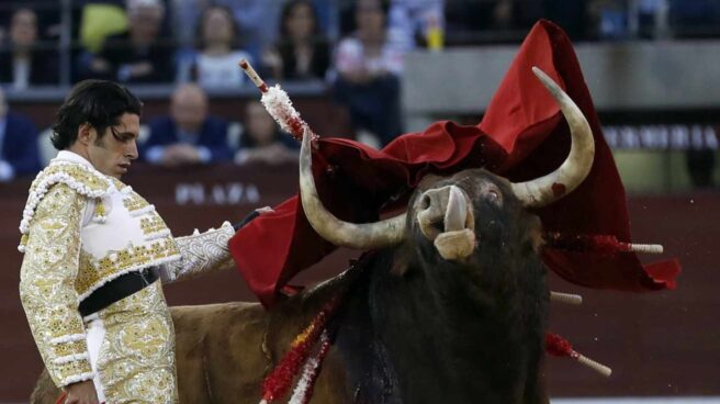 El diestro extremeño Alejandro Talavante, en su segundo toro "Rosito" de la ganadería de Núñez del Cuvillo, durante el noveno festejo de la Feria de San Isidro, en la plaza de Toros de Las Ventas .