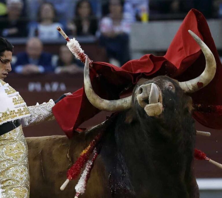 El ministro Guirao deja a la tauromaquia sin medalla de las Bellas Artes