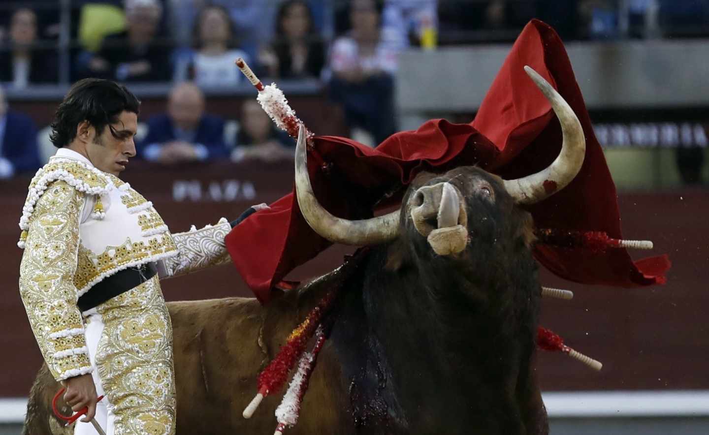 El diestro extremeño Alejandro Talavante, en su segundo toro "Rosito" de la ganadería de Núñez del Cuvillo, durante el noveno festejo de la Feria de San Isidro, en la plaza de Toros de Las Ventas .