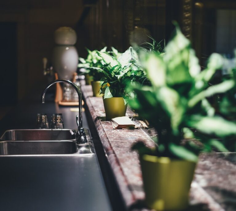 ¿Es eficaz tener plantas en casa para mejorar el aire que respiramos?