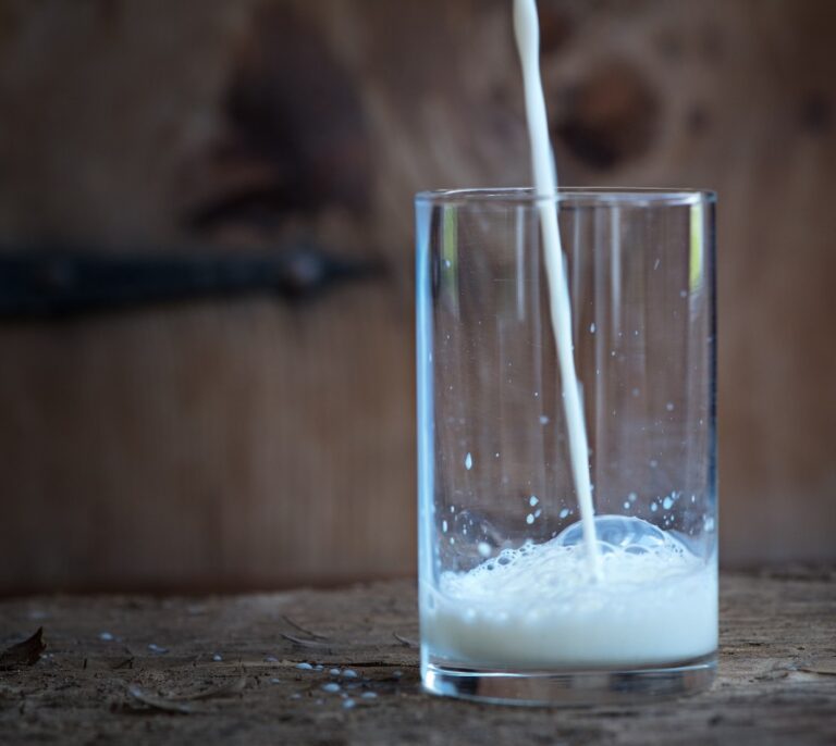 Los niños que beben leche entera tienen un 40% menos de probabilidad de obesidad