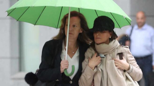 La mujer de Luis Bárcenas, Rosalía Iglesias, a su llegada a la Audiencia Nacional.