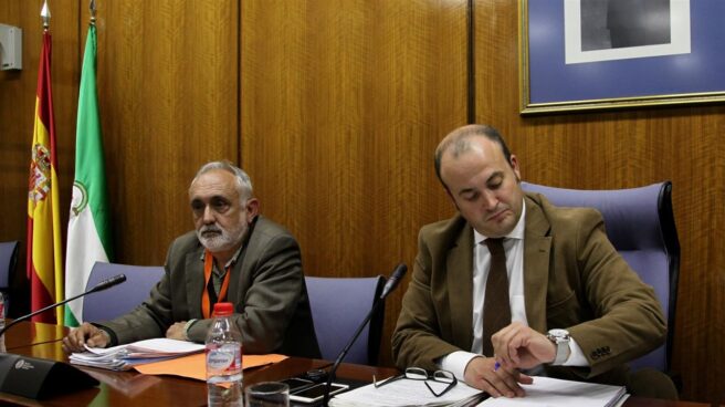 Fernando Villén (izquierda), cuando declaró en la comisión de investigación del Parlamento de Andalucía por el fraude de los cursos.
