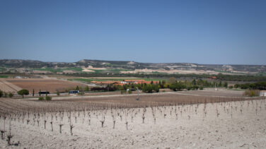 Vega Sicilia contra la Autovía del Duero