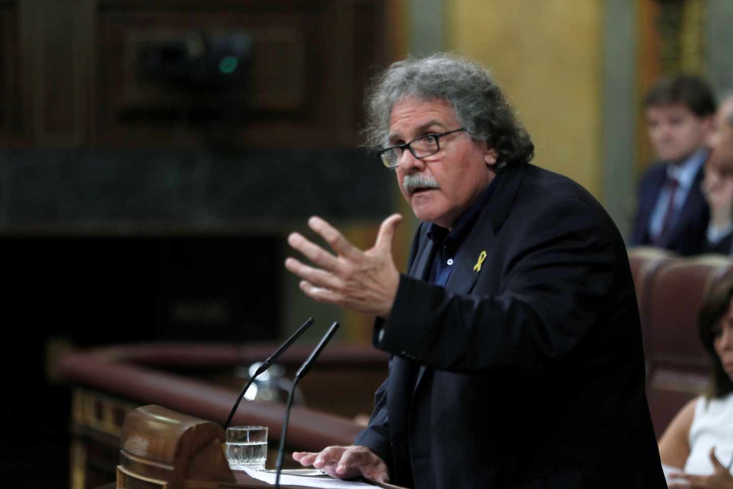 El portavoz de ERC en el Congreso, Joan Tardá.