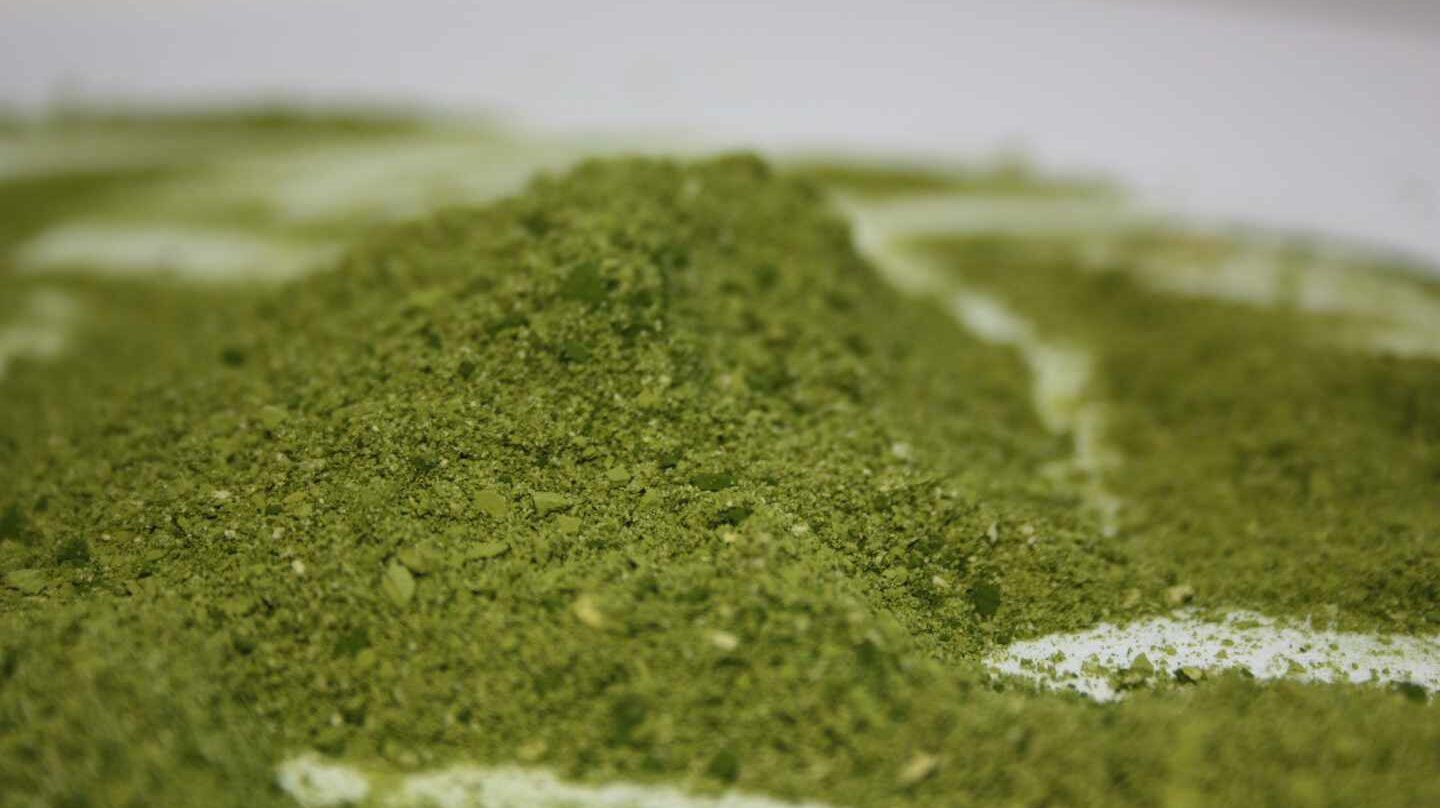 Harina de microalgas, un nuevo alimento nutritivo y saludable.