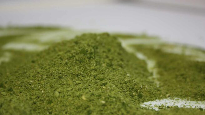 HARINA_ALGAS Harina de microalgas, un nuevo alimento nutritivo y saludable.