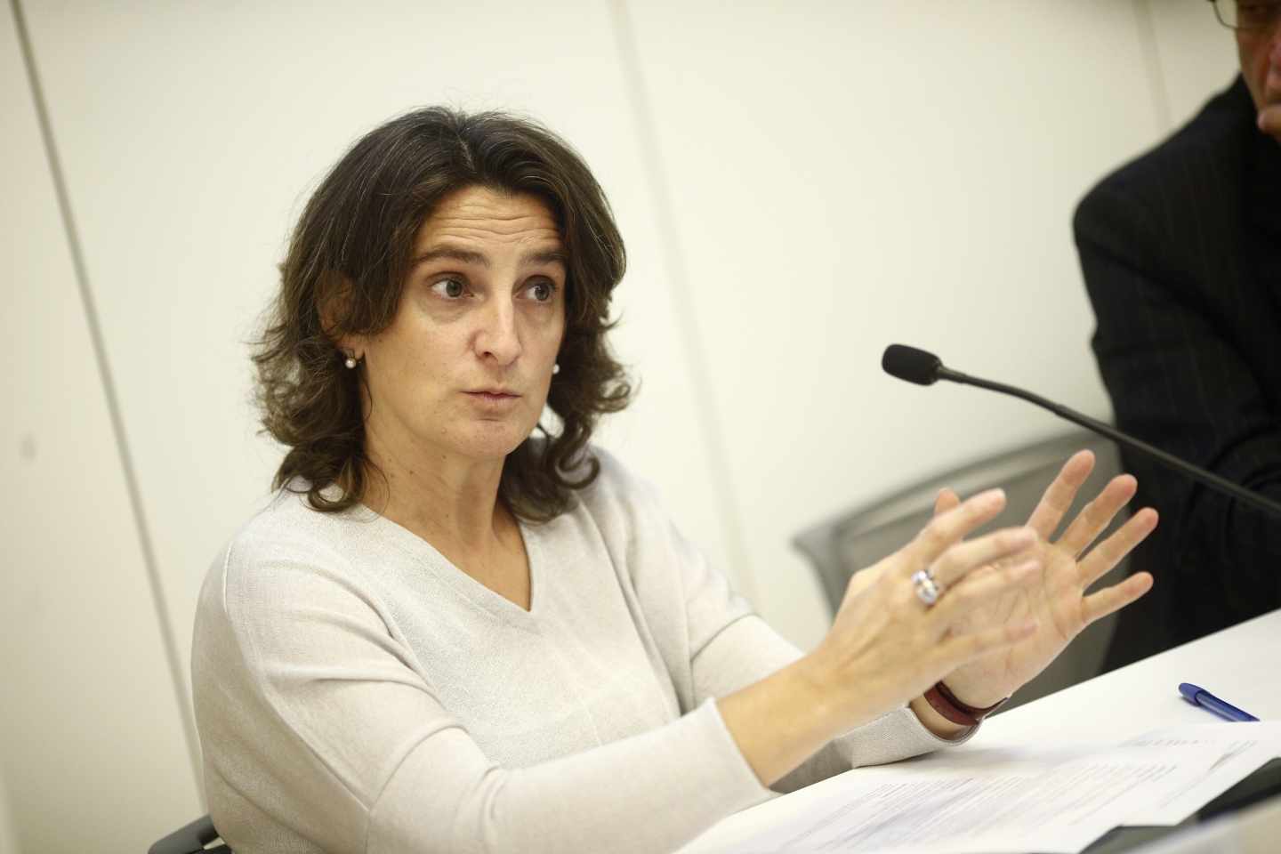 Teresa Ribera, ministra para la Transición Ecológica.