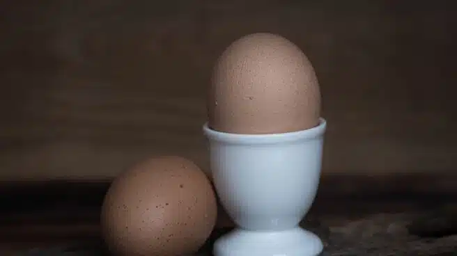 ¿Cómo introducir el huevo en la dieta de los niños?