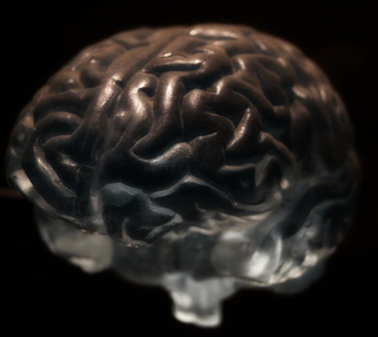 Descubierto un nuevo mecanismo para reforzar las redes cerebrales de la memoria