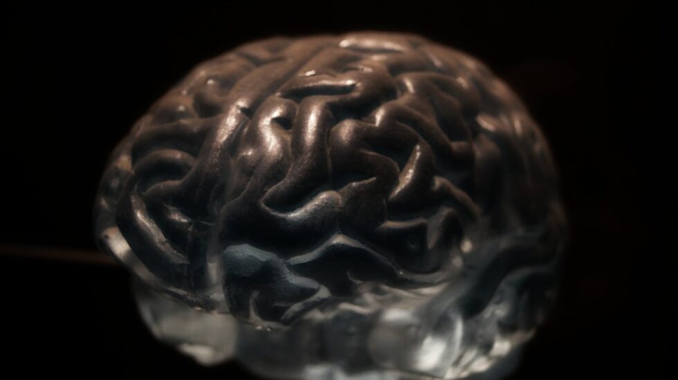 Descubierto un nuevo mecanismo para reforzar las redes cerebrales de la memoria.