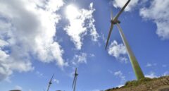 Casi la mitad del Ibex se ha comprometido a que antes de 2030 el 100% de la energía que utilizan proceda de renovables