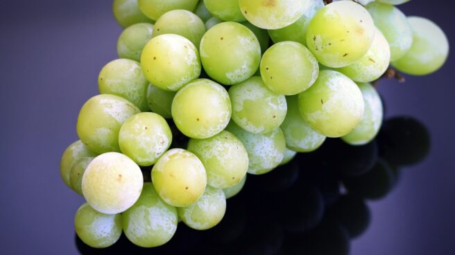 el resveratrol presente en las uvas protege contra el alzheimer El resveratrol, presente en las uvas y otras frutas y plantas, protege contra el alzheimer.