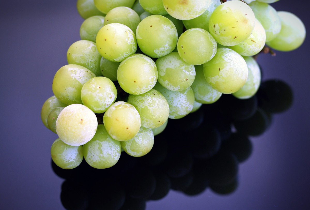 El resveratrol, presente en las uvas y otras frutas y plantas, protege contra el alzheimer.