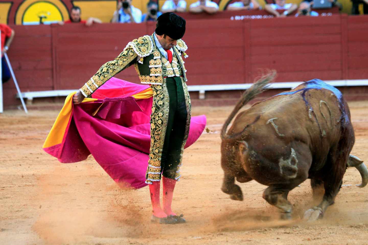 José Tomás, en uno de sus lances.