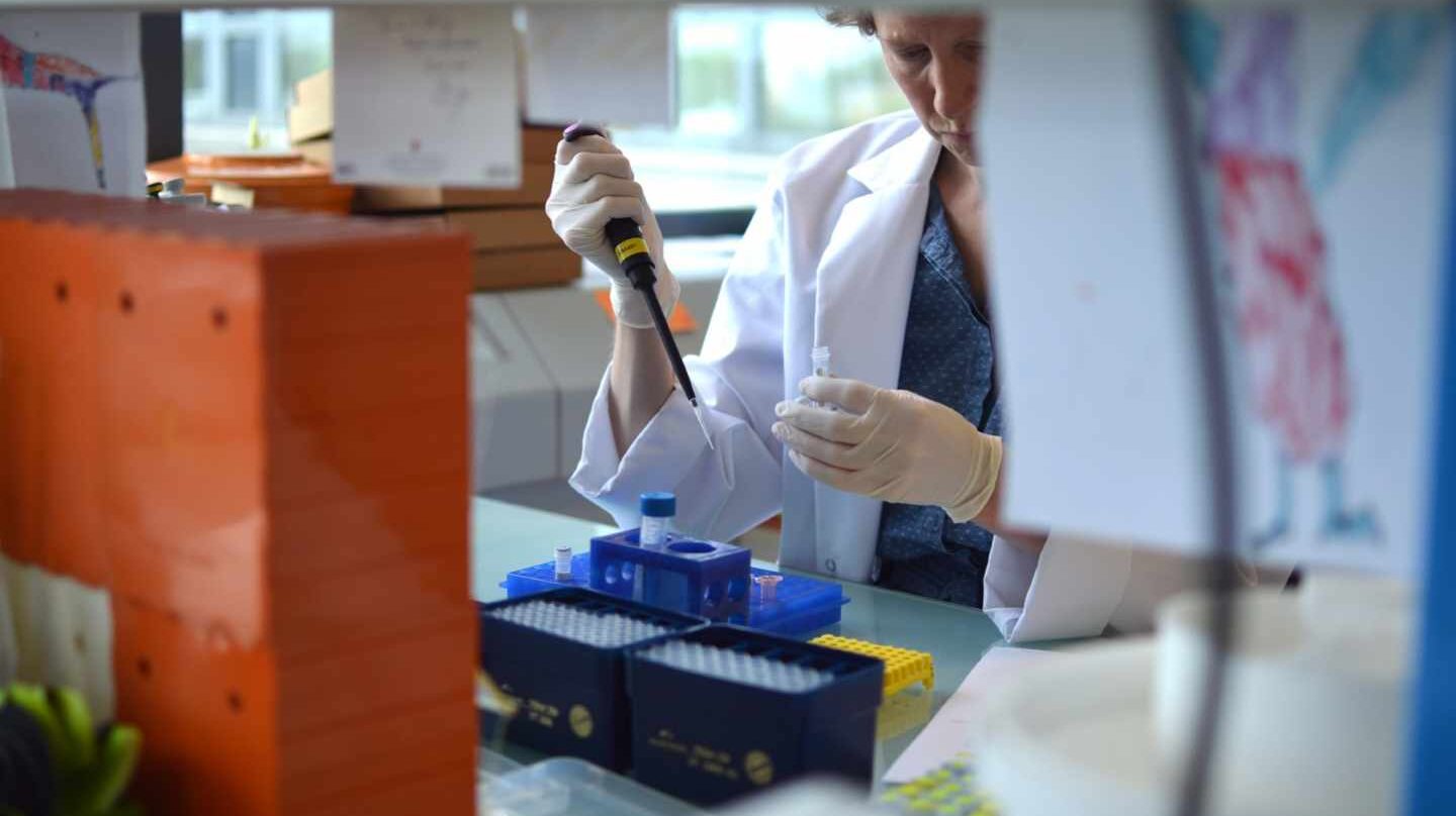 El CSIC va disminuyendo el techo de cristal.