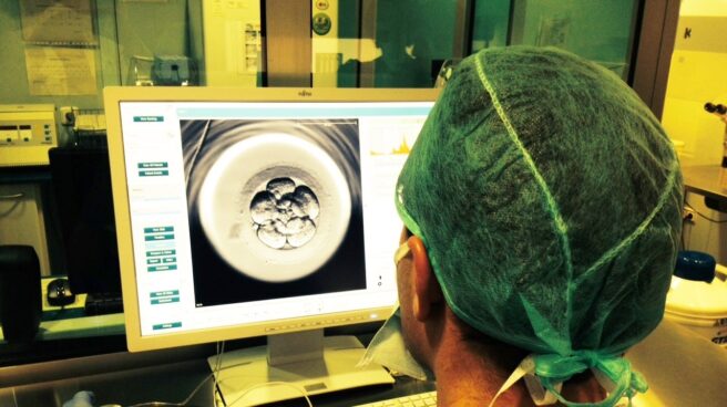 médico durante un tratamiento de reproducción asistida médico durante un punto del proceso de reproducción asistida.