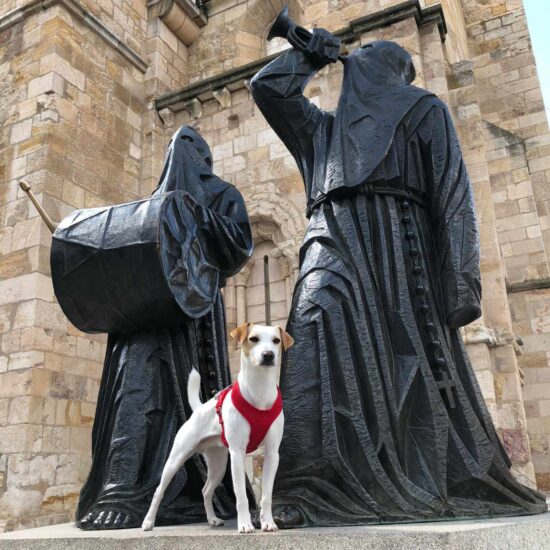 Pipper, el perro turista