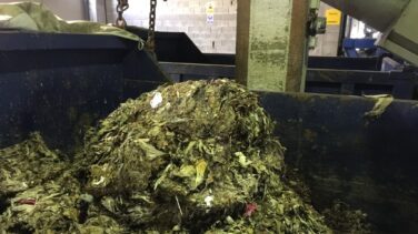 Guerra al "monstruo de las cloacas"