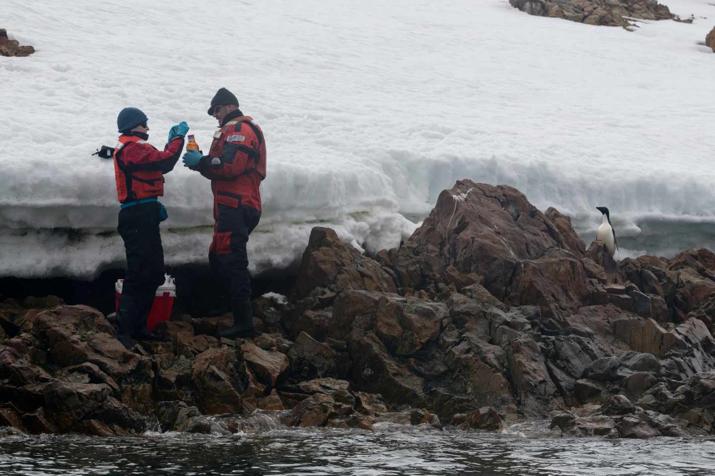 Dos expertos tomando muestras en la Antártida con un pingüino de fondo