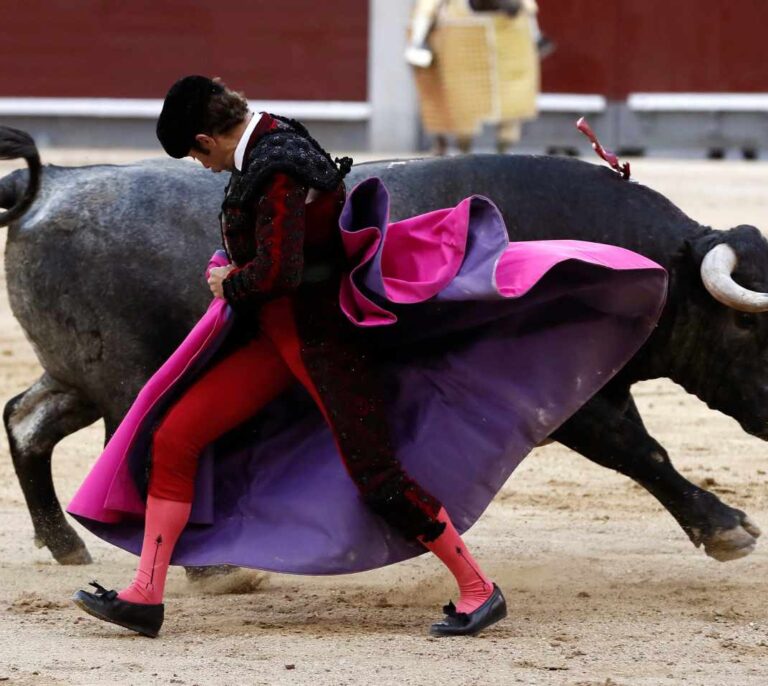Pablo Iglesias propone un referéndum a nivel nacional para decidir sobre los toros