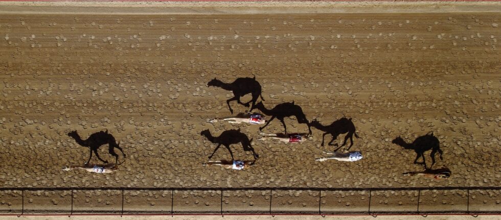 5. 'Carrera vertical' de Shoayb Khattab.