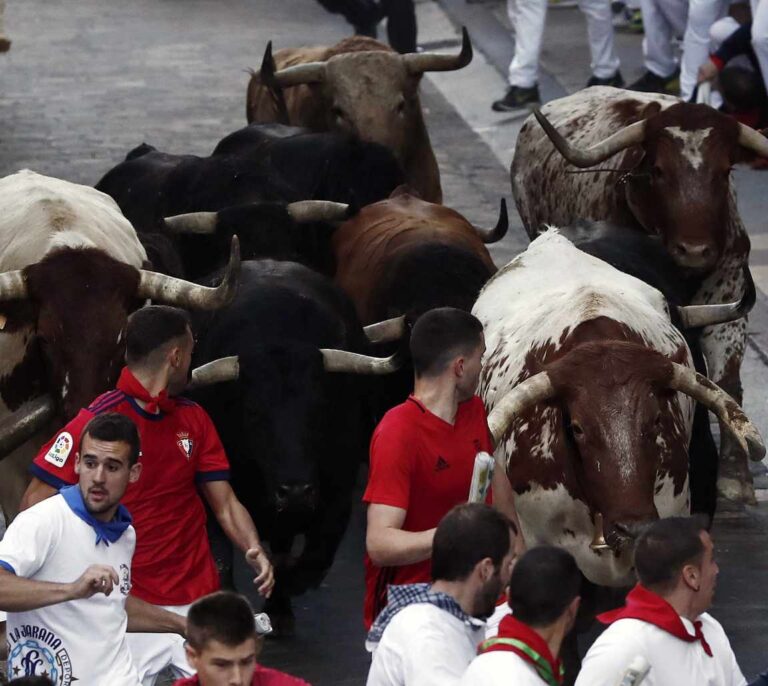 Veloz encierro de Fuente Ymbro sin heridos
