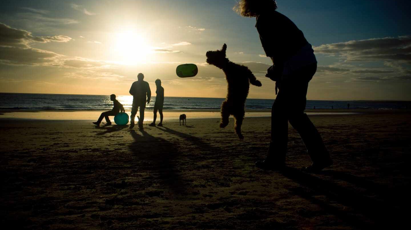 ¿Trabajar en vacaciones? Sí, pero trabajar la felicidad