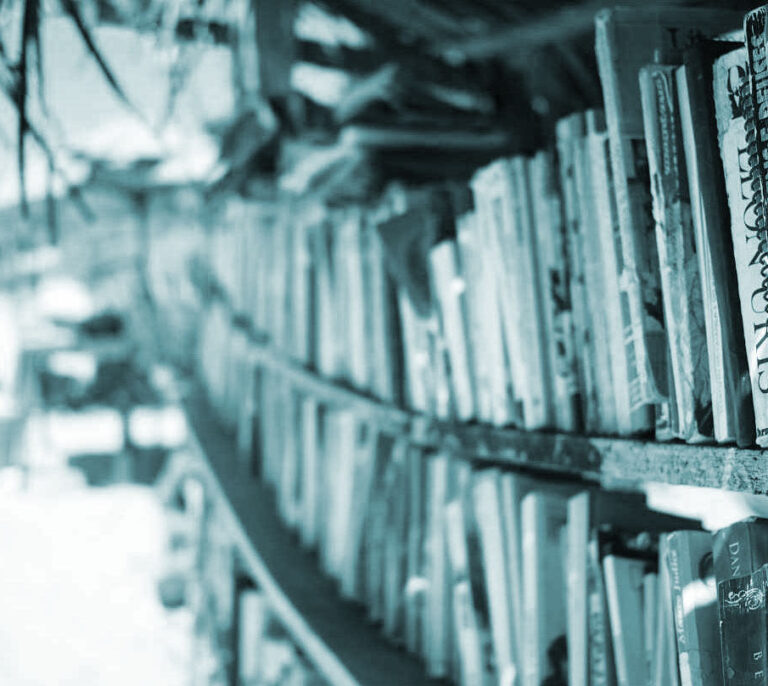 Adiós a las bibliotecas