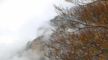 Aemet alerta que una docena de provincias está en riesgo por niebla y frío