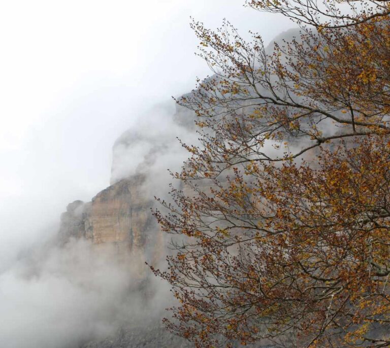 Aemet alerta que una docena de provincias está en riesgo por niebla y frío