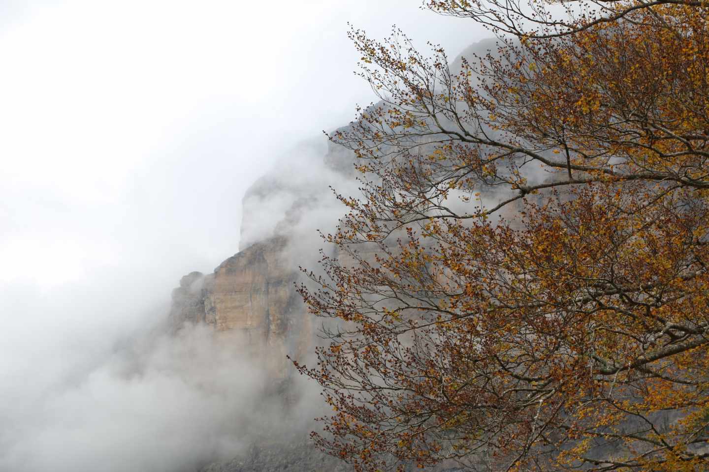 Aemet alerta que una docena de provincias está en riesgo por niebla y frío