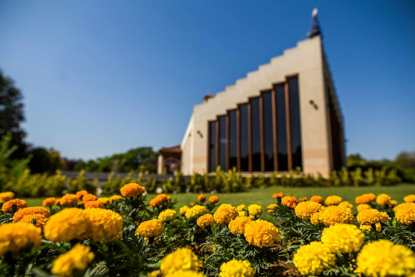 Parque del Cementerio de la Paz, en Valencia