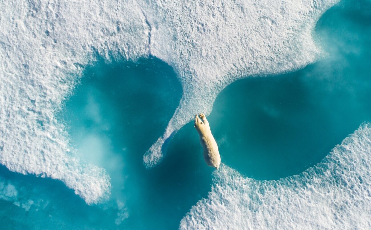 Las mejores fotos con dron del año