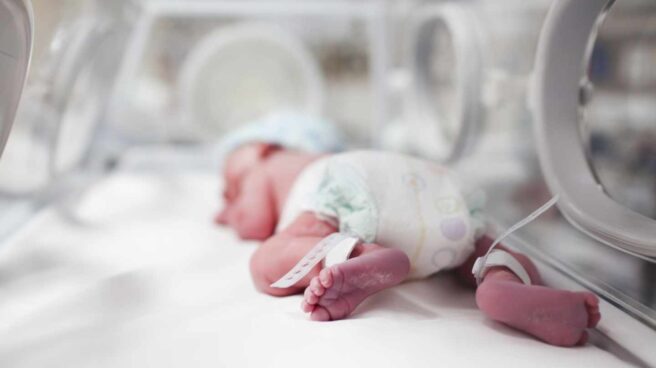 Bebes Prematuros El Primer Asalto De La Vida El Independiente Bebes Prematuros El Primer Asalto De La Vida El Independiente