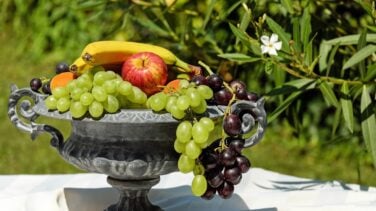 Cinco consejos para asegurar una buena alimentación durante el verano
