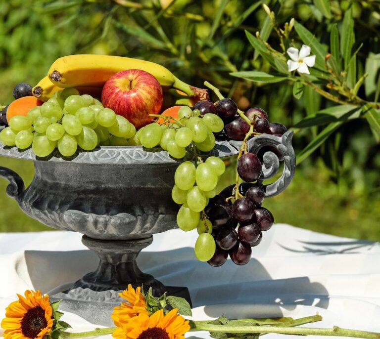 Cinco consejos para asegurar una buena alimentación durante el verano
