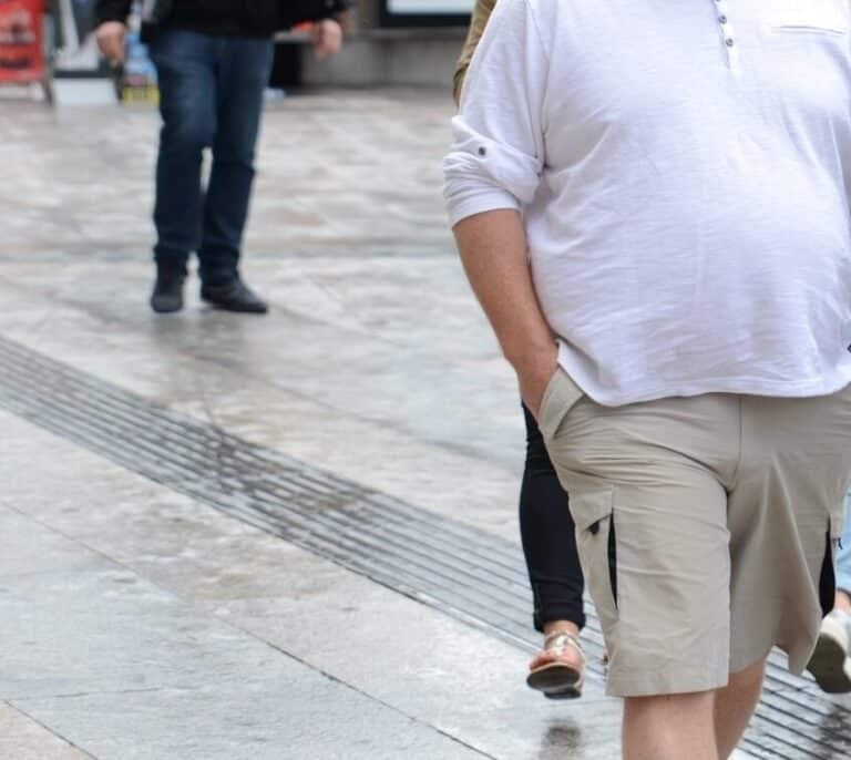 Una dieta rica en grasas y fructosa dificulta al hígado la metabolización de lípidos