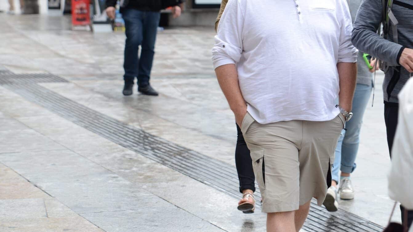 Una dieta rica en grasas y fructosa dificulta al hígado la metabolización de lípidos