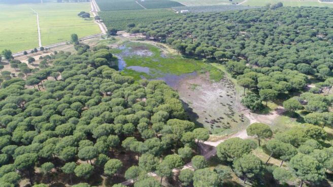 El CSIC señala a Teide y Doñana  por sus "tendencias ambientalmente preocupantes"