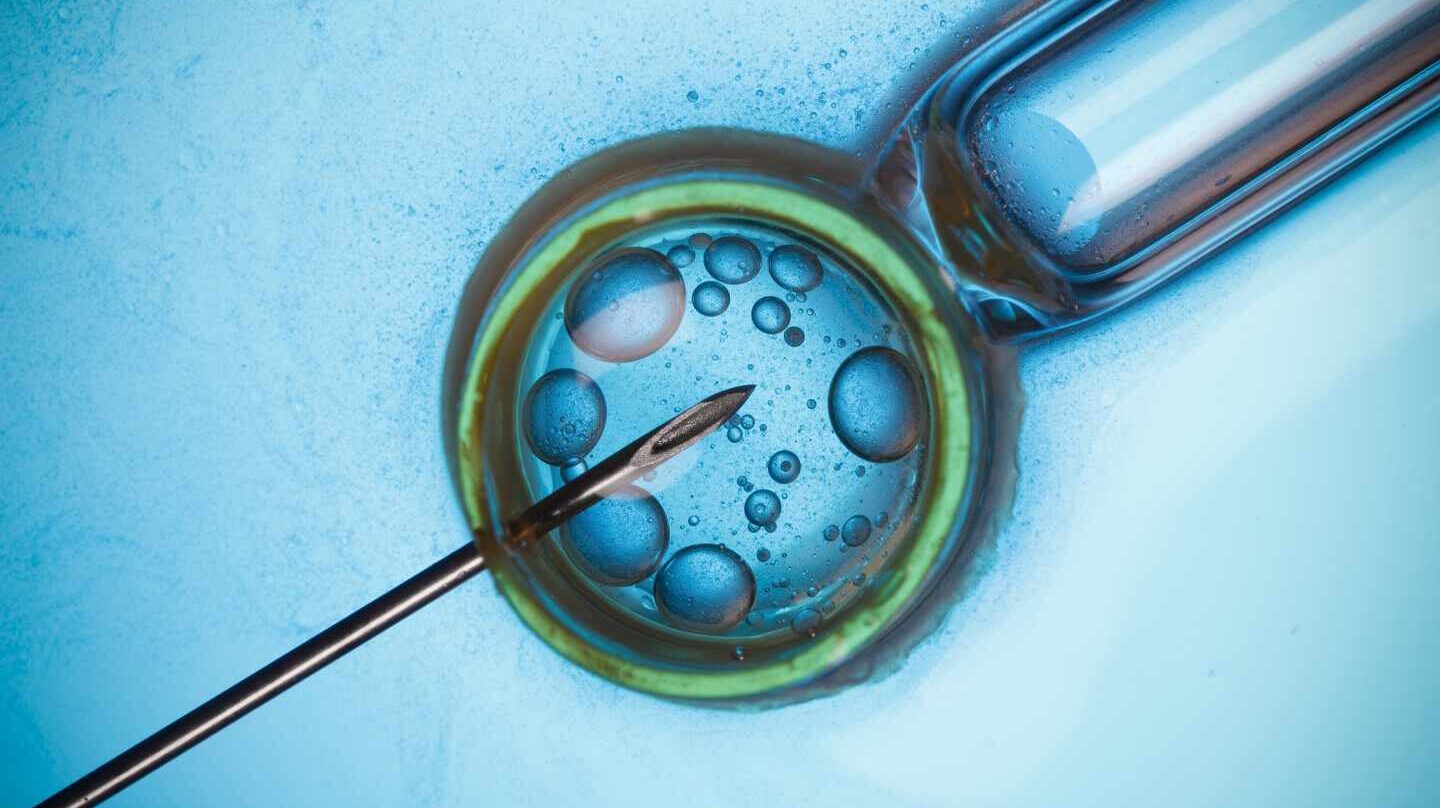 Más de ocho millones de niños han nacido por fecundación in vitro tras Louise Brown, la primera 'bebé probeta'.