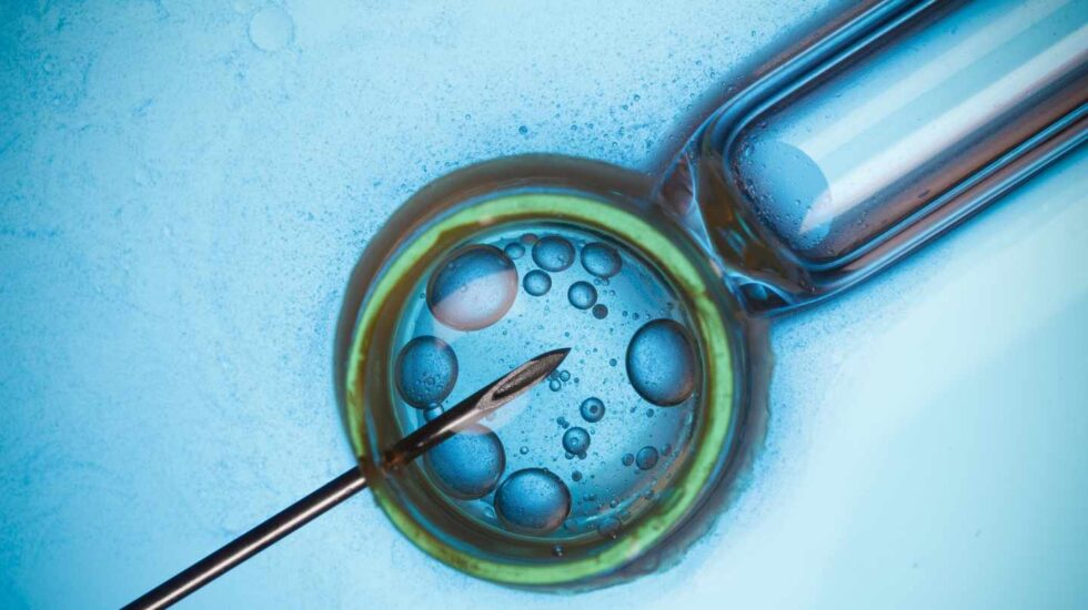 Más de ocho millones de niños han nacido por fecundación in vitro tras Louise Brown, la primera 'bebé probeta'.