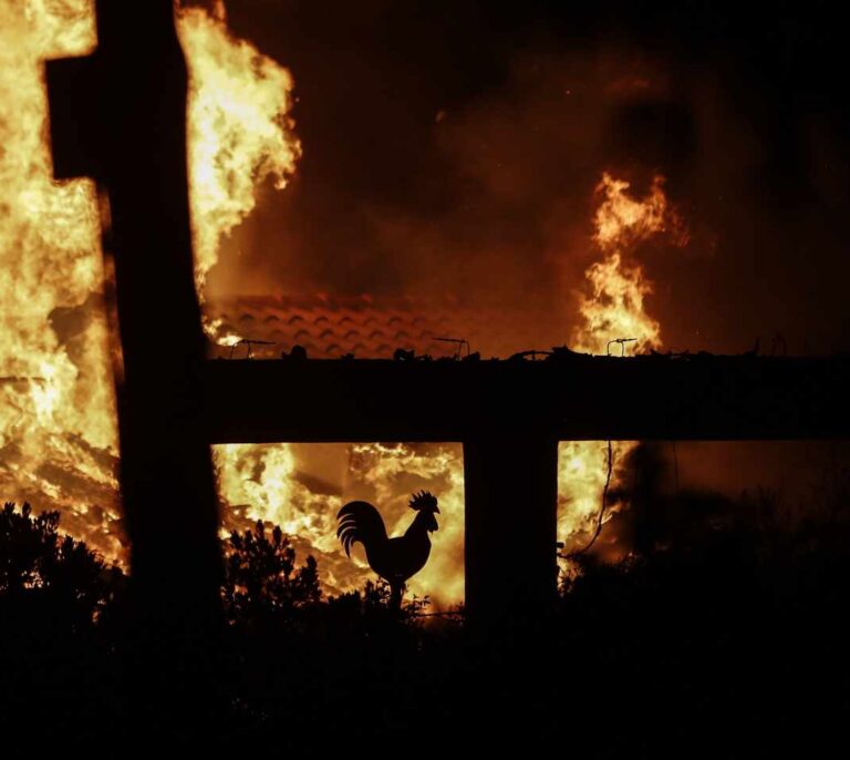 Al menos 74 muertos y 156 heridos en varios incendios al noreste de Atenas