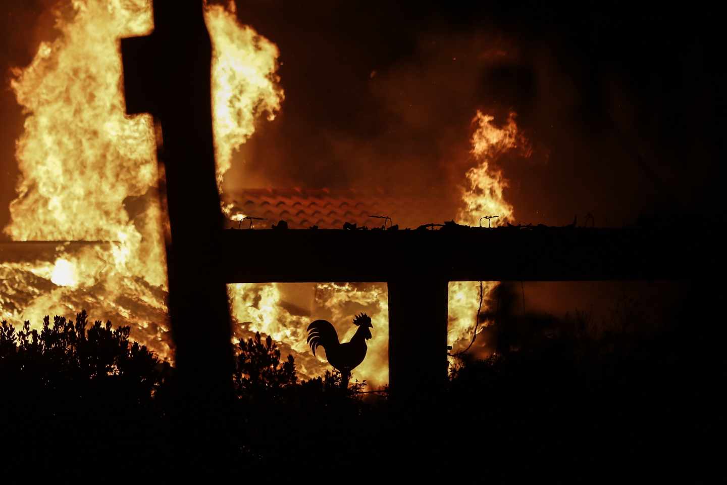 Incendios en Grecia.