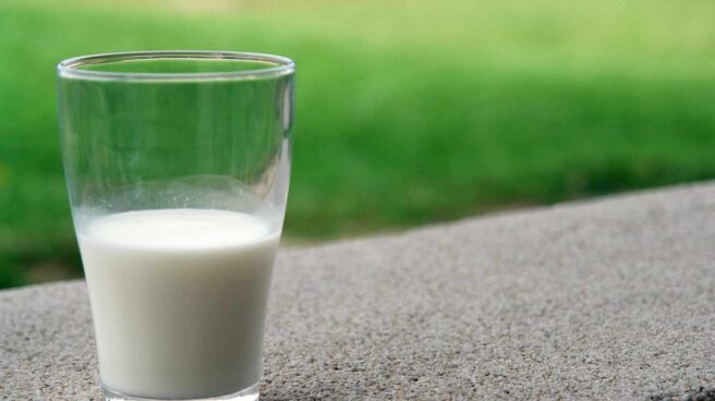 La OCU advierte que consumir leche cruda entraña "riesgo sanitario elevado"