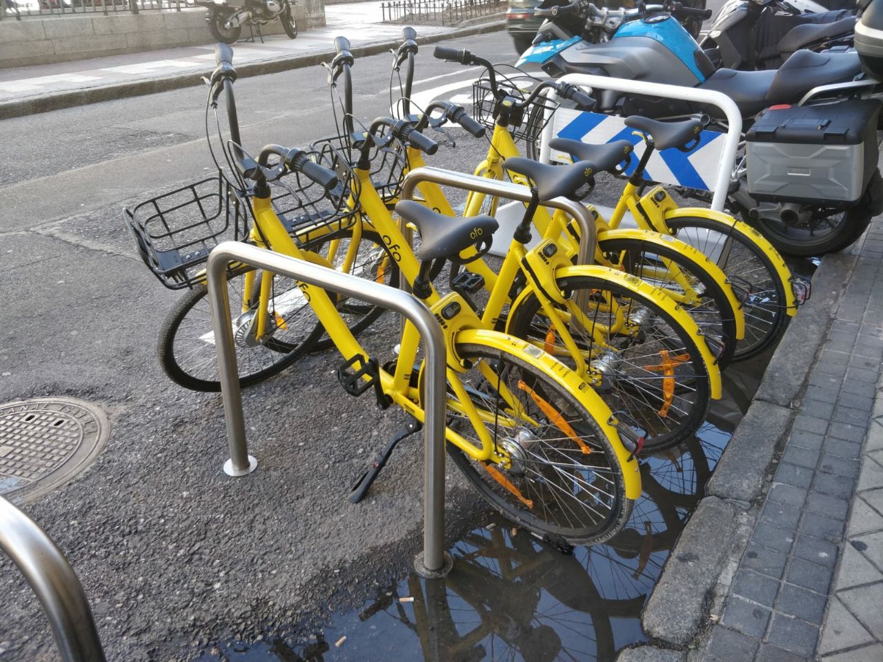 Varias bicicletas de Ofo Bike en un aparcabicis.