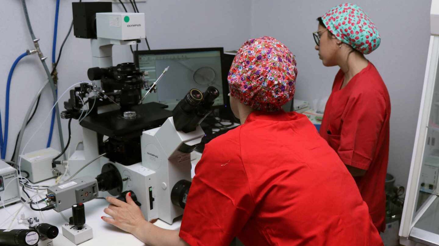 Un nuevo test no invasivo prevé mejorar un 10% la tasa de éxito de la reproducción asistida.
