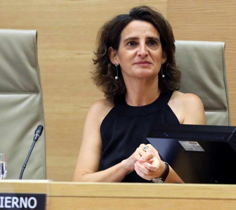 El Gobierno impondrá a las empresas criterios verdes obligatorios para obtener contratos públicos